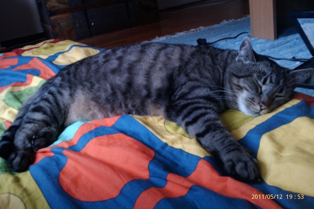 Maxi20110512