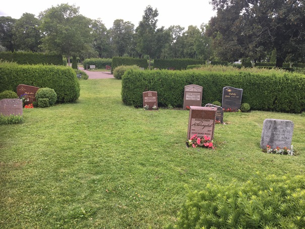 180622 Midsommar 2018 02