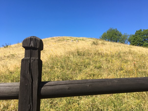 180702_ 03 Gamla Uppsala