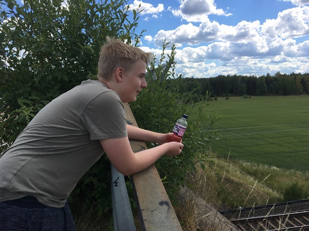180710 Fullerö Hage 02