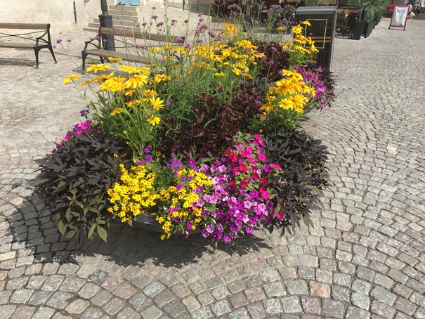 180721 blommor