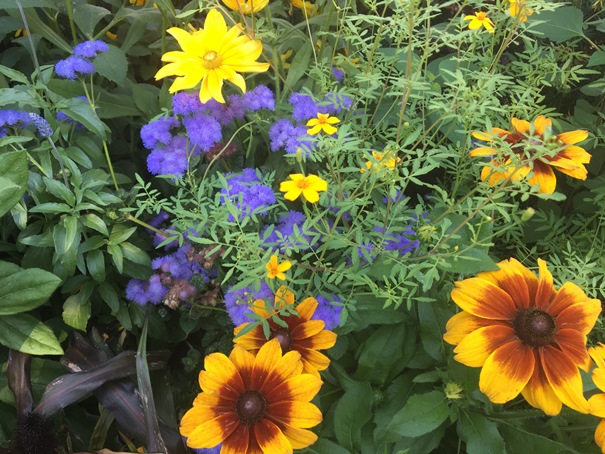 180727 blommor resecentrum 02