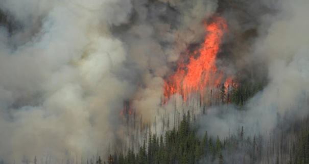 skogsbrand sverige 2018
