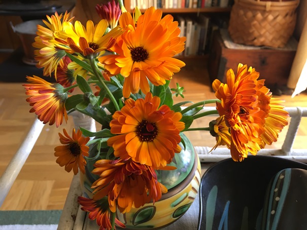 180908 blommor