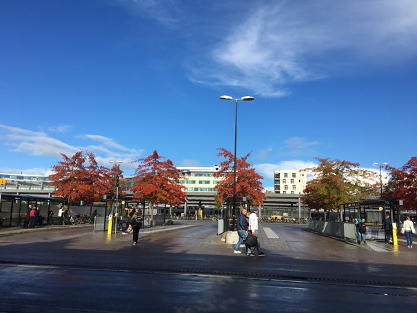 180928 hösten