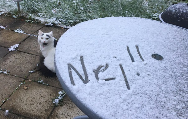 181027 första snön