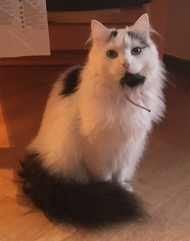 Maja-julafton2018