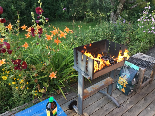 190727 Husbyborg grill