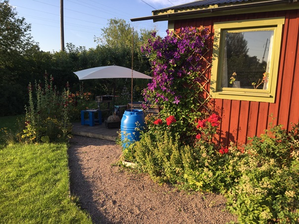 190727 Husbyborg klematis
